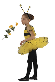 Arı Tütü Kostüm